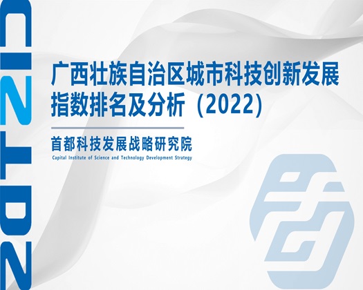 成人美女肏屄视频【成果发布】广西壮族自治区城市科技创新发展指数排名及分析（2022）